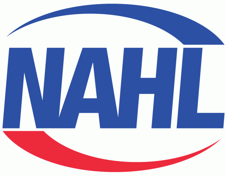 North American Hockey League (NAHL) iron ons